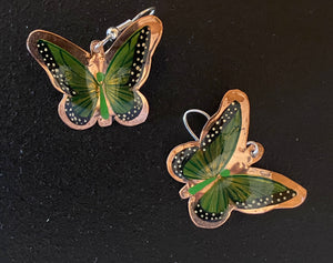 Copper butterfly’s (green)