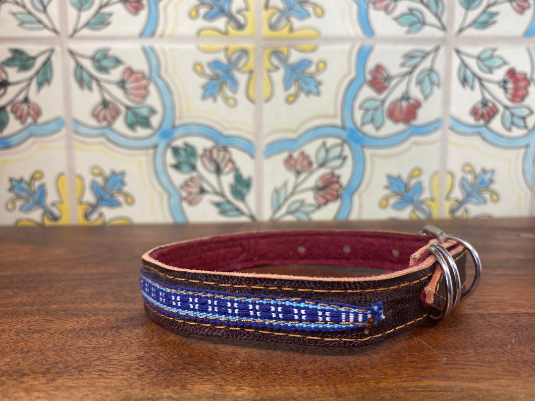 Pet collar (sm)